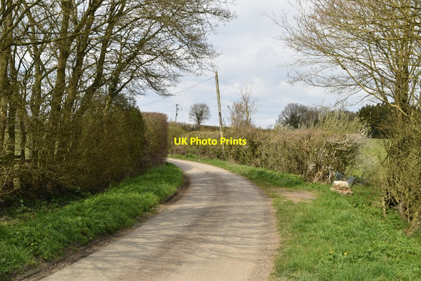 Photo 6"x4" Narrow rural lane Robhurst c2021