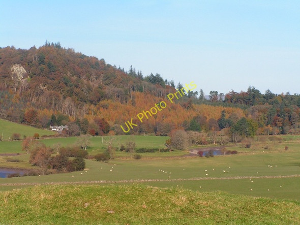 Photo 6"x4" Autumn Colours on Kirkennan Hill Palnackie c2008