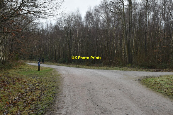 Photo 6"x4" National Cycleroute 18 Bedgebury Cross c2021