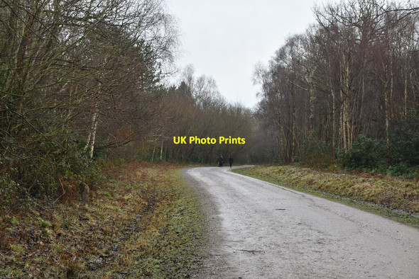 Photo 6"x4" National Cycleroute 18 Bedgebury Cross c2021
