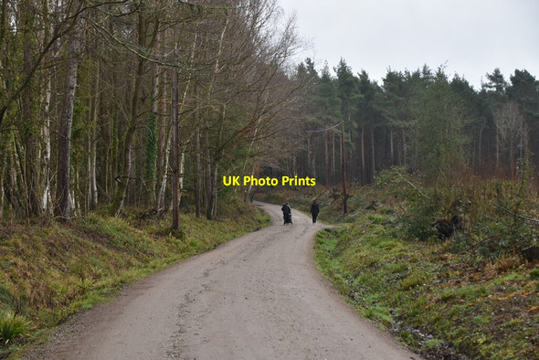 Photo 6"x4" National Cycleroute 18 Gill's Green c2021