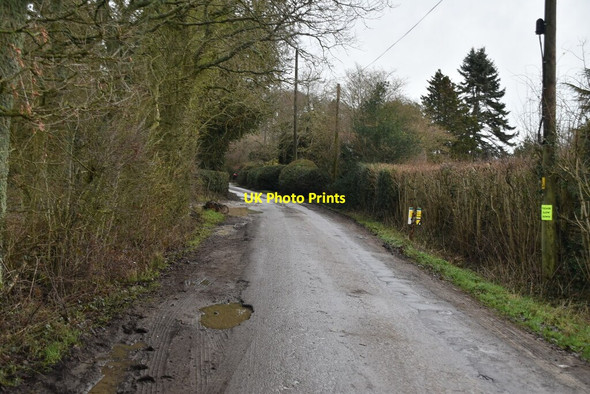 Photo 6"x4" Park Lane Gill's Green c2021