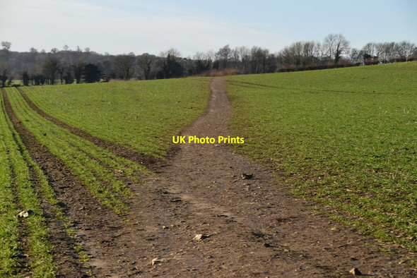 Photo 6"x4" Darent Valley Path Eynsford c2021 P2