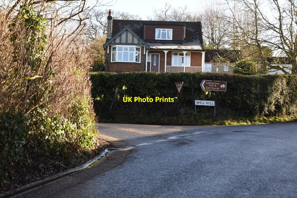 Photo 6"x4" Well Hill Maypole\/TQ4963 c2021