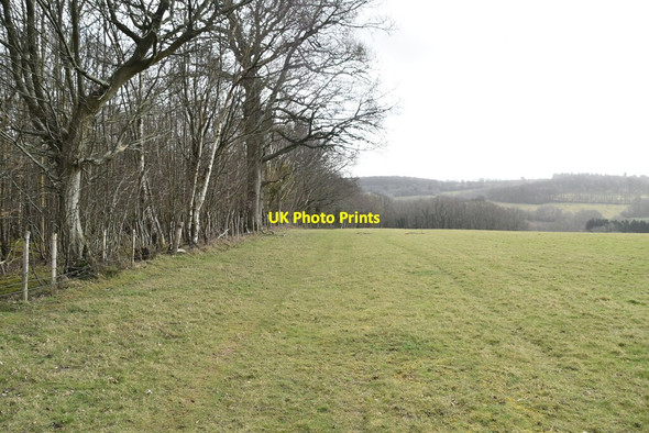 Photo 6"x4" Path along edge of Milkhurst Wood Broad Oak\/TQ6022 c2021