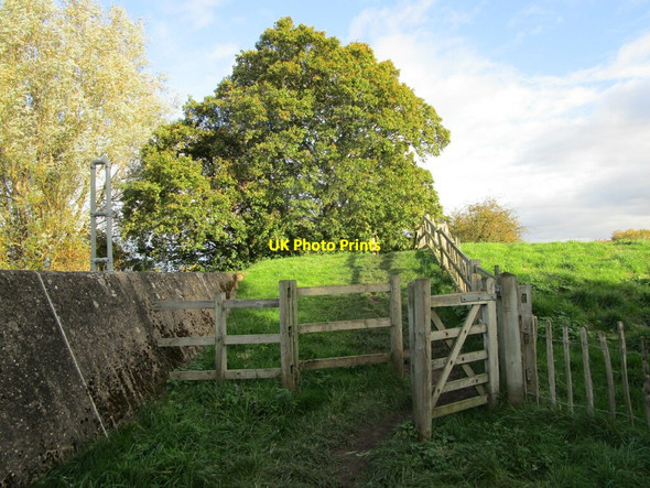 Photo 6"x4" Footpath and flood defences, Sutton on Trent Grassthorpe c2021