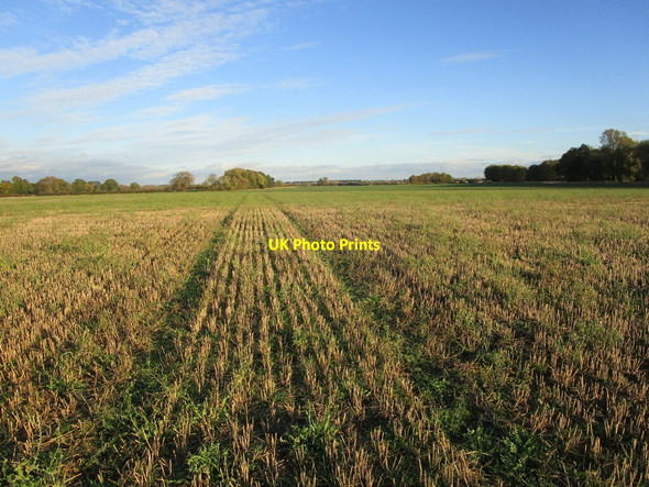 Photo 6"x4" Stubble field near Grassthorpe Low Marnham c2021