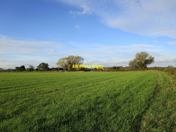 Photo 6"x4" Autumn sown crop off Ingram Lane Grassthorpe c2021
