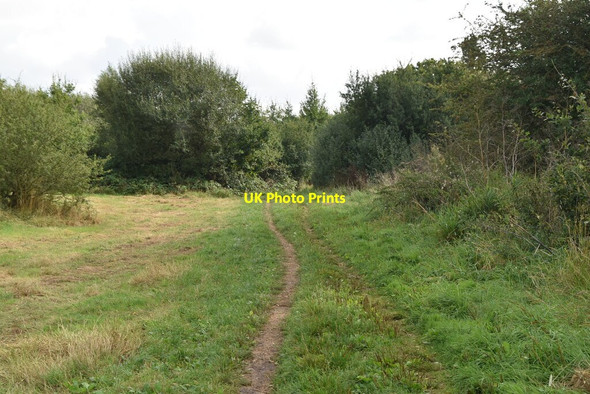 Photo 6"x4" Footpath by Yeading Brook Ruislip c2021