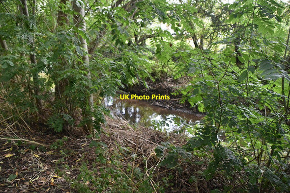 Photo 6"x4" Yeading Brook Ruislip c2021