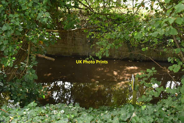 Photo 6"x4" Yeading Brook Ruislip c2021 P1