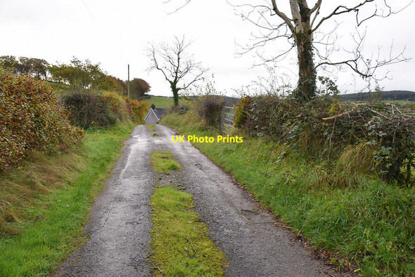 Photo 6"x4" Tycanny Road Garvaghy c2021