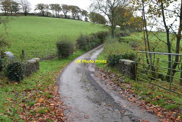 Photo 6"x4" Small bridge along Tycanny Road Garvaghy c2021
