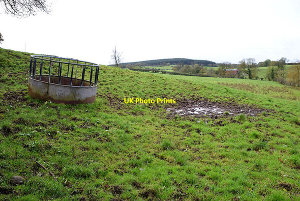 Photo 6"x4" Feeder and muddy ground, Tycanny Garvaghy c2021