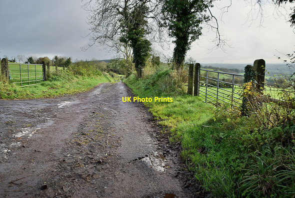 Photo 6"x4" Tycanny Road, Tycanny Garvaghy c2021