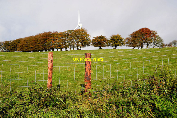 Photo 6"x4" Tycanny Hill Garvaghy c2021