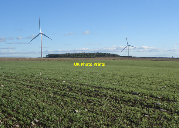 Photo 6"x4" Wind turbines on Newton Down Porthcawl c2021