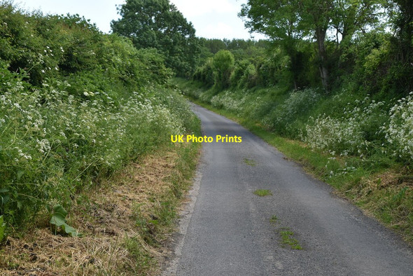 Photo 6"x4" Hollow Rd Elmdon\/TL4639 c2021