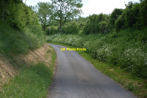 Photo 6"x4" Hollow Lane Elmdon\/TL4639 c2021