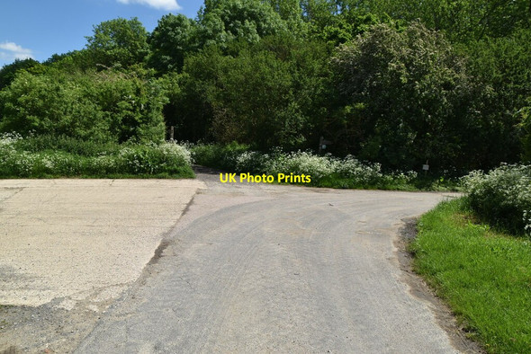 Photo 6"x4" End of Hollow Lane Elmdon\/TL4639 c2021