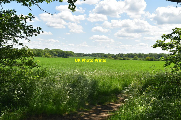 Photo 6"x4" Arable landscape Elmdon\/TL4639 c2021