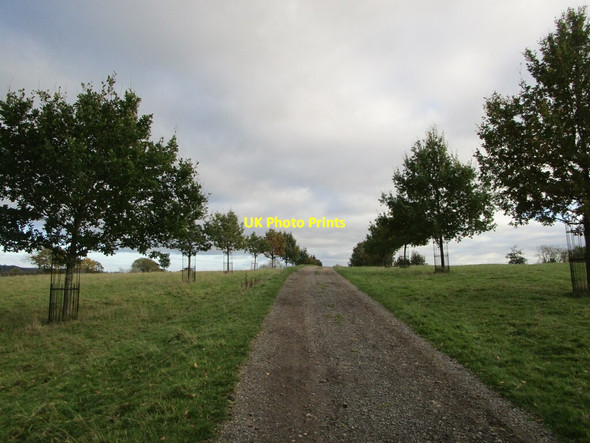 Photo 6"x4" Avenue at Rolleston Rolleston\/SK7300 c2021