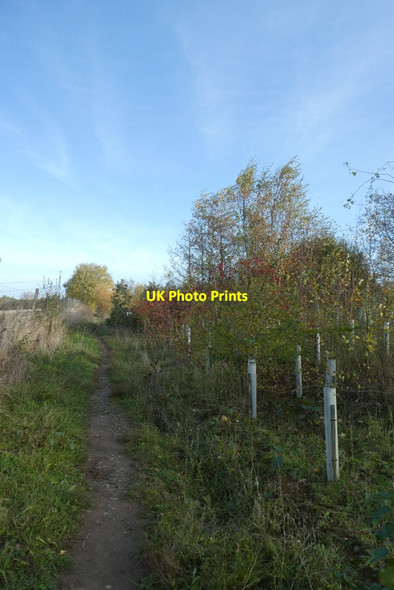 Photo 6"x4" Path along the north side of Kimberlow Hill Osbaldwick c2021