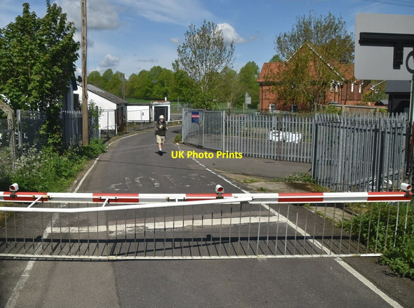 Photo 6"x4" Mill Lane Crossing Bagham c2021