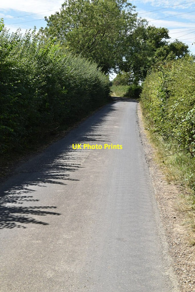 Photo 6"x4" Lane west of Honeywood Farm Newchurch\/TR0531 c2020