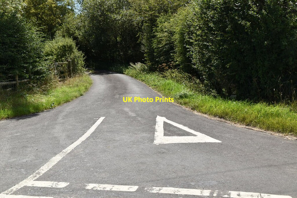 Photo 6"x4" Wills Lane Newchurch\/TR0531 c2020