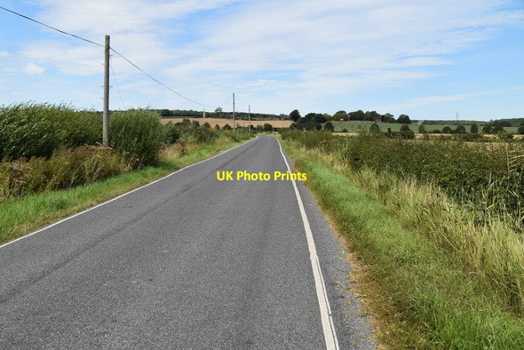 Photo 6"x4" Road north to Bilsington Bilsington c2020