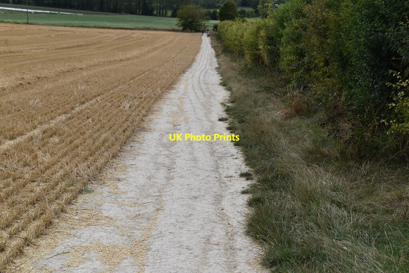 Photo 6"x4" The North Downs Way Wye c2020