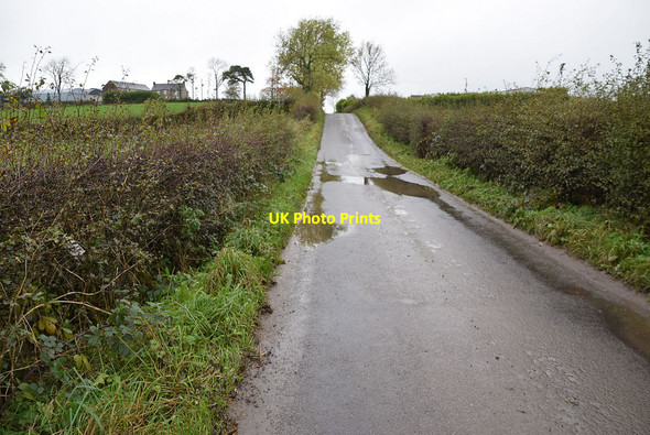 Photo 6"x4" Water lying along Crevenagh Road Beragh c2021