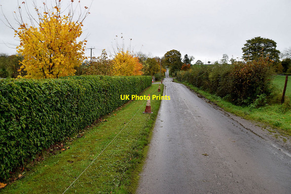 Photo 6"x4" Colourful along Crevenagh Road Beragh c2021