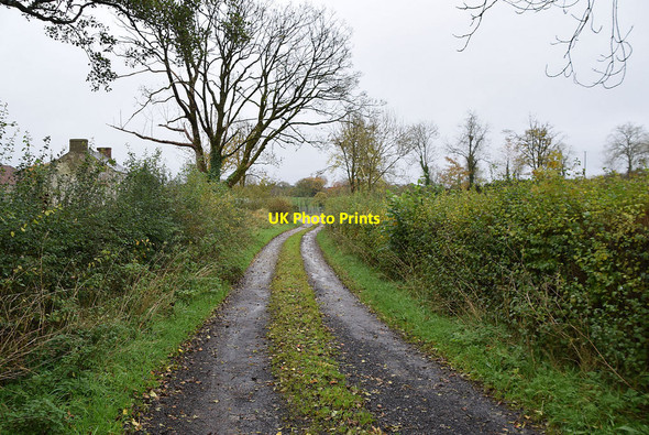 Photo 6"x4" Lane to farmhouse, Camowen Beragh c2021