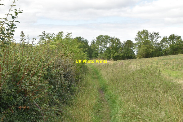 Photo 6"x4" The Chiltern Way Colstrope c2020