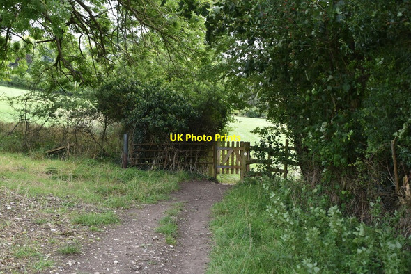 Photo 6"x4" The Chiltern Way Pheasant's Hill c2020
