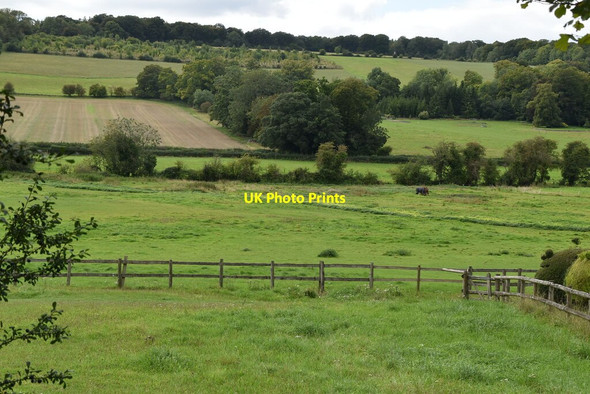 Photo 6"x4" The Hambleden Valley Pheasant's Hill c2020