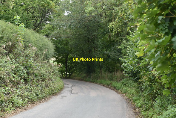 Photo 6"x4" Lane to Hambleden Pheasant's Hill c2020