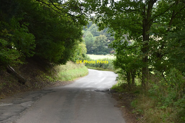Photo 6"x4" Road to Hambleden Pheasant's Hill c2020