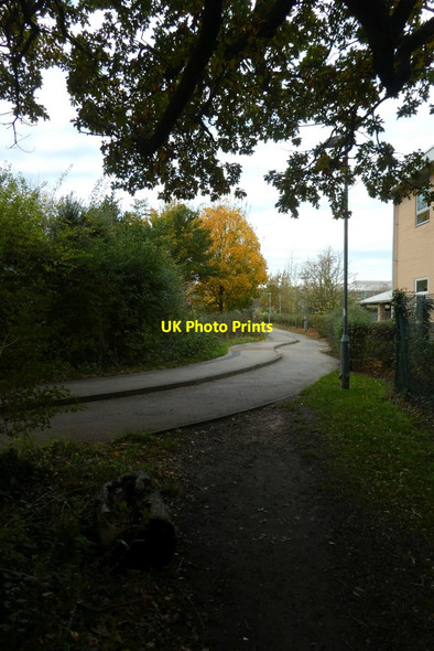 Photo 6"x4" Science Park Cycle Path Heslington c2021