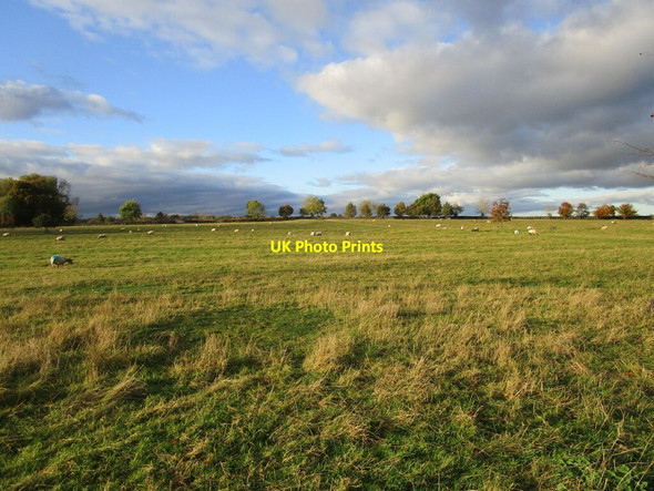 Photo 6"x4" Parkland at Rolleston Rolleston\/SK7300 c2021
