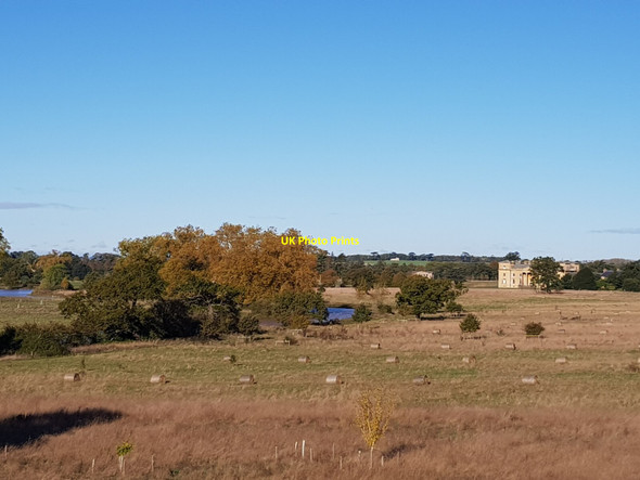 Photo 6"x4" Croome Park towards the House Dunstall Common c2021