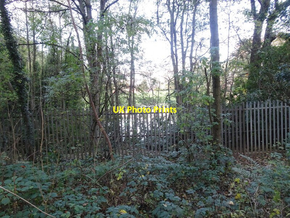 Photo 6"x4" Moseley Hall Pool Bushbury\/SJ9203 c2021