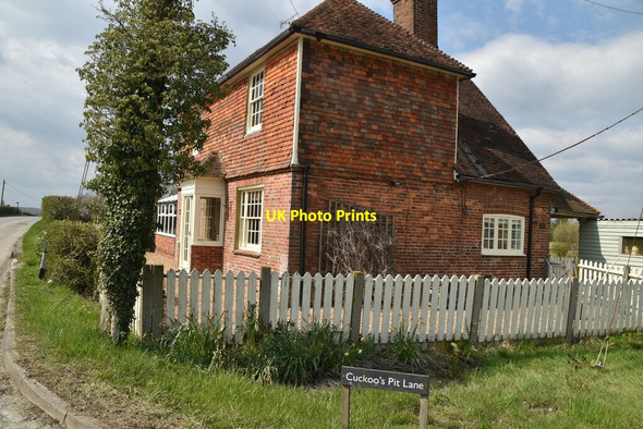 Photo 6"x4" Berridge Farm Brook Street\/TQ9333 c2021