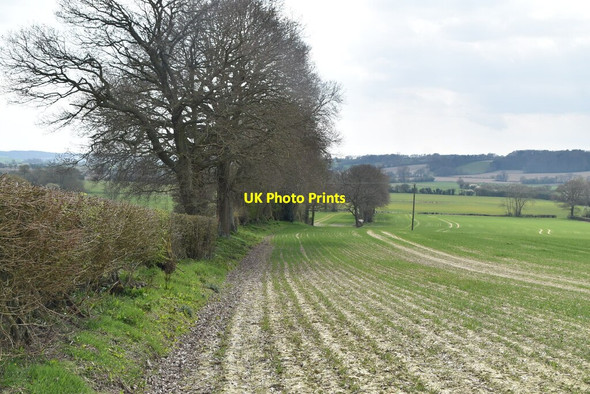 Photo 6"x4" Field edge footpath Brook Street\/TQ9333 c2021