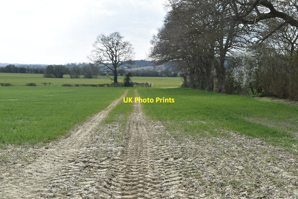 Photo 6"x4" Muddy farmland Brook Street\/TQ9333 c2021