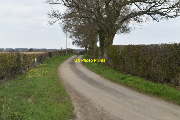 Photo 6"x4" Moor Lane Brook Street\/TQ9333 c2021