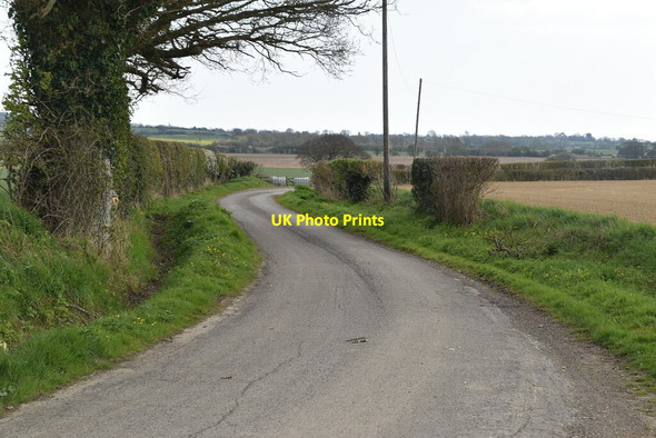 Photo 6"x4" Moor Lane Brook Street\/TQ9333 c2021 P1