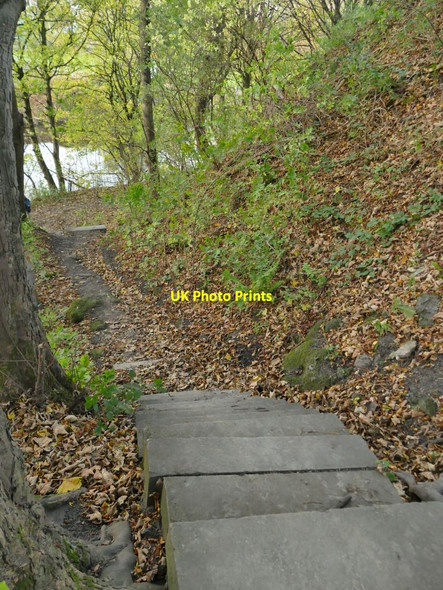 Photo 6"x4" Steps down to the river near Lady Wood Bottom Mirfield c2021